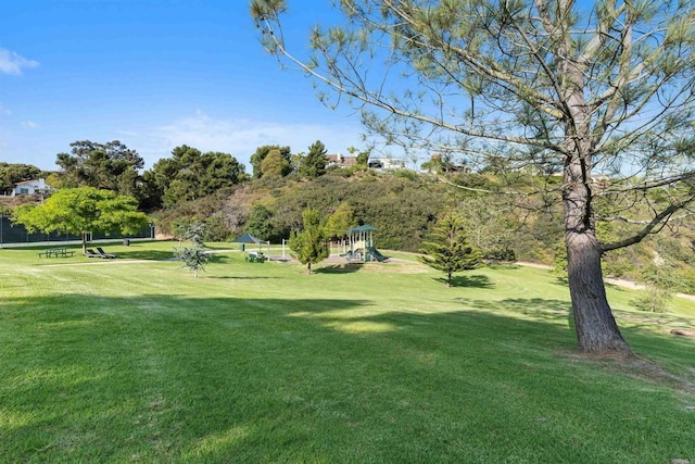 6635 Caminito Scioto, La Jolla, CA 92037 - photo 27