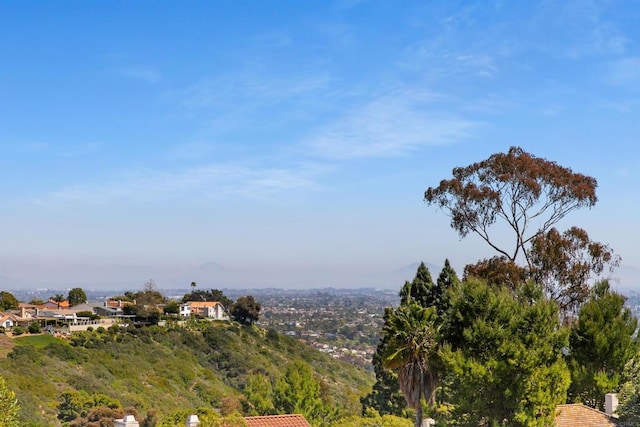 6635 Caminito Scioto, La Jolla, CA 92037 - photo 45