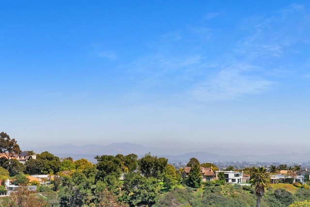 6635 Caminito Scioto, La Jolla, CA 92037 - photo 44