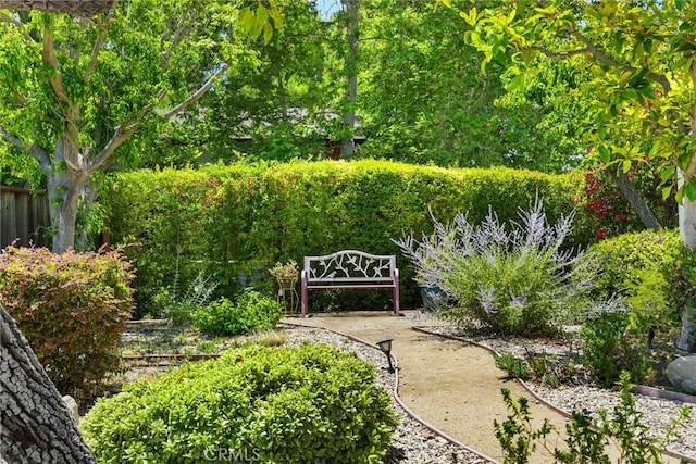 8601 Rudnick Ave, West Hills, CA 91304 - view of yard