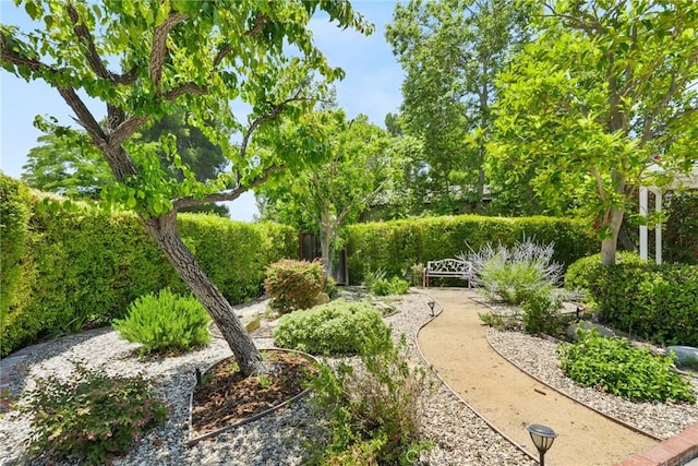 8601 Rudnick Ave, West Hills, CA 91304 - view of yard