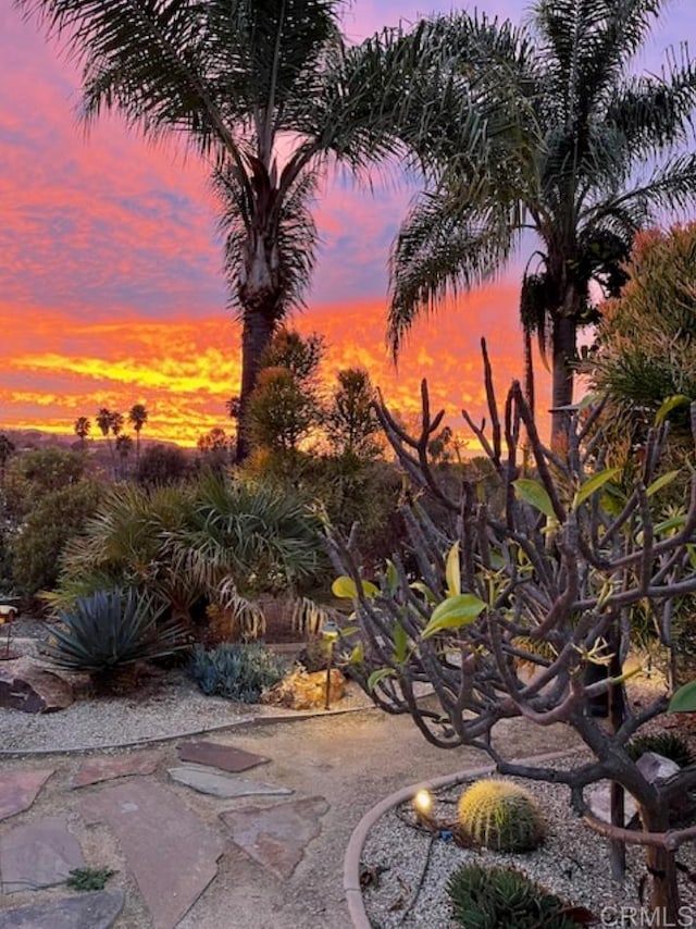 2149 Gamble Pl, Escondido, CA 92029 - view of yard