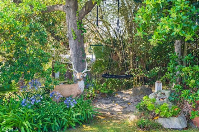 26767 Shadow Wood Dr, Rancho Palos Verdes, CA 90275 - view of yard