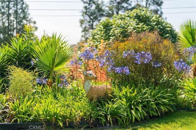 26767 Shadow Wood Dr, Rancho Palos Verdes, CA 90275 - view of yard