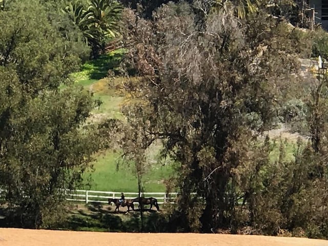 5470 Ln Crescenta, Rancho Santa Fe, CA 92067 - photo 5
