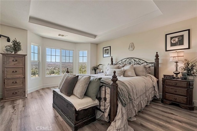 19639 Ellis Henry Ct, Newhall, CA 91321 - bedroom with a tray ceiling and light wood-style flooring
