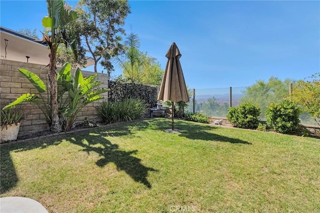 19639 Ellis Henry Ct, Newhall, CA 91321 - view of yard