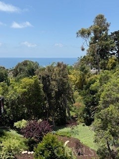 686 Diamond St, Laguna Beach, CA 92651 - view of wooded area with a water view