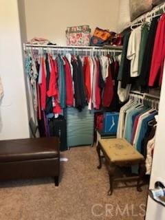28433 Oasis View Cir, Menifee, CA 92584 - spacious closet featuring carpet floors