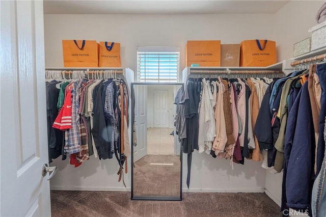 1182 Chenin Blanc Cir, Perris, CA 92571 - walk in closet with carpet flooring