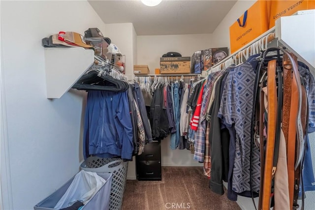 1182 Chenin Blanc Cir, Perris, CA 92571 - walk in closet featuring carpet