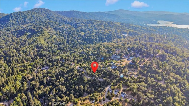 237 Craghill Dr, Cedar Glen, CA 92321 - photo 1