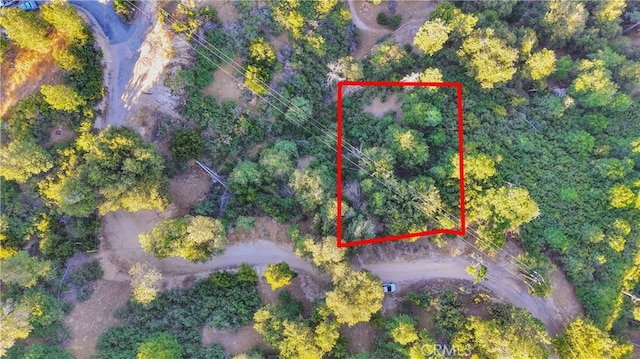 237 Craghill Dr, Cedar Glen, CA 92321 - photo 4
