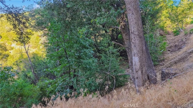 237 Craghill Dr, Cedar Glen, CA 92321 - photo 12