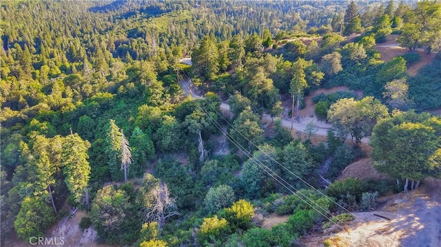 237 Craghill Dr, Cedar Glen, CA 92321 - photo 6