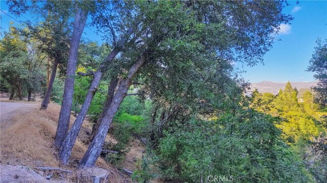 237 Craghill Dr, Cedar Glen, CA 92321 - photo 9