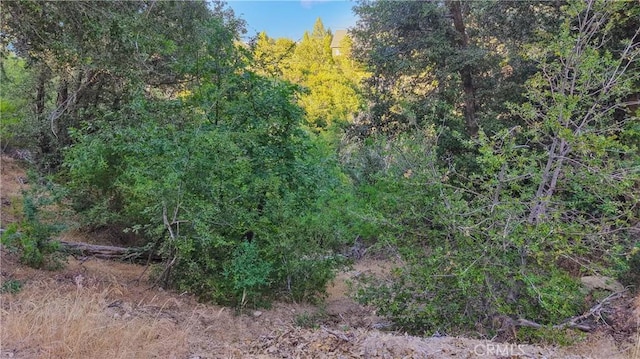 237 Craghill Dr, Cedar Glen, CA 92321 - photo 10