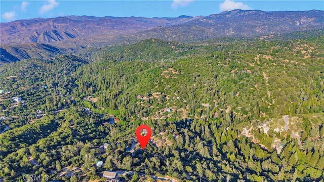 237 Craghill Dr, Cedar Glen, CA 92321 - photo 3