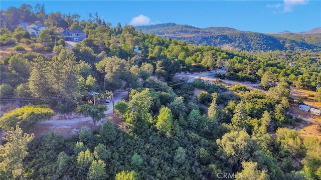 237 Craghill Dr, Cedar Glen, CA 92321 - photo 5