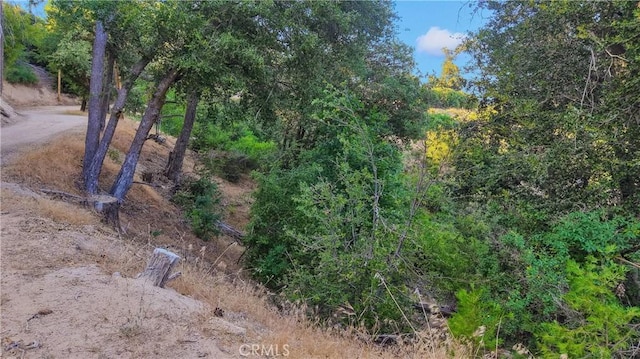 237 Craghill Dr, Cedar Glen, CA 92321 - photo 11