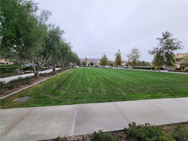 137 Statura, Irvine, CA 92602 - photo 45