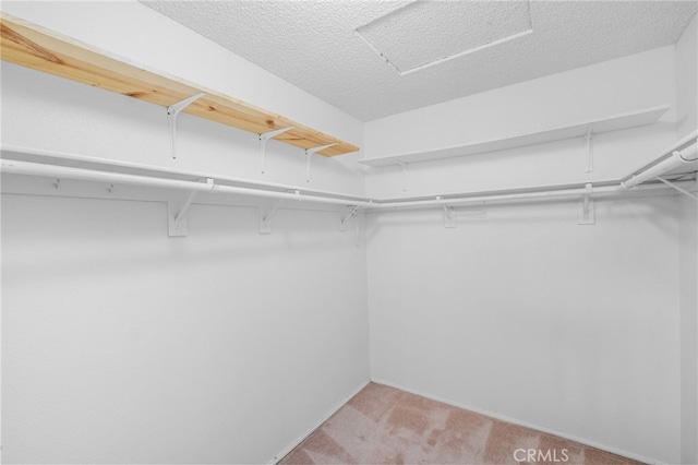 26293 Potomac Dr, Menifee, CA 92586 - walk in closet featuring light colored carpet