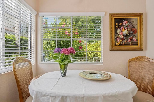 428 W San Marcos Blvd Unit 162, San Marcos, CA 92069 - photo 10