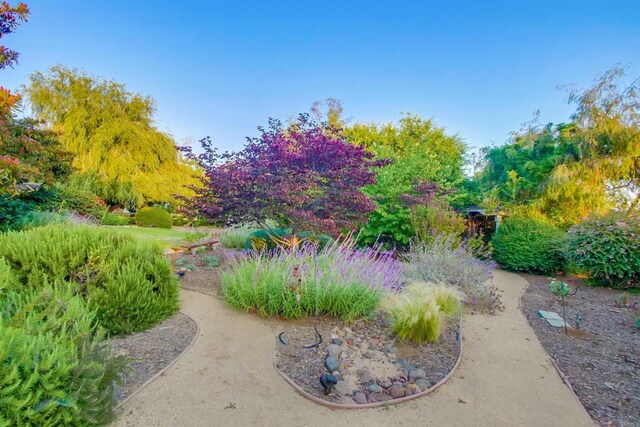 1495 Meredith Rd, Fallbrook, CA 92028 - photo 40
