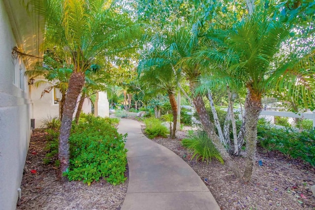 1495 Meredith Rd, Fallbrook, CA 92028 - photo 49
