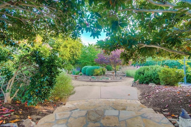 1495 Meredith Rd, Fallbrook, CA 92028 - photo 37