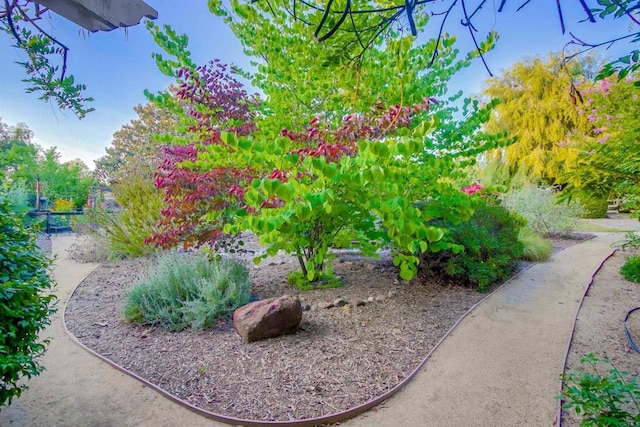 1495 Meredith Rd, Fallbrook, CA 92028 - photo 39