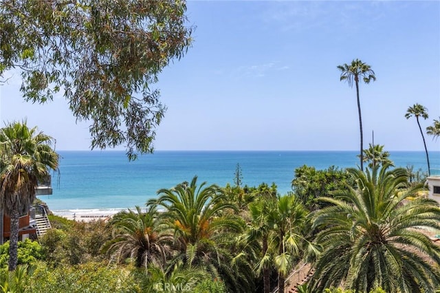 34693 Camino Capistrano Unit B, Dana Point, CA 92624 - water view