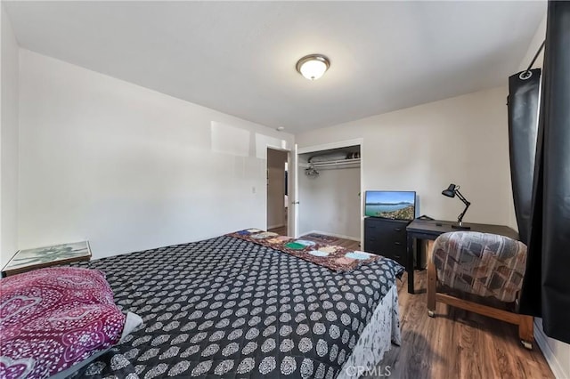 13169 Third St, Clearlake Oaks, CA 95423 - bedroom with wood finished floors and a closet