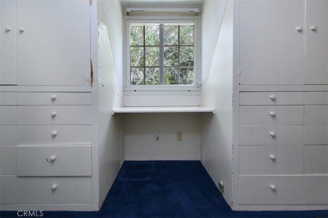 4312 Noble Ave, Sherman Oaks, CA 91403 - spacious closet with dark colored carpet