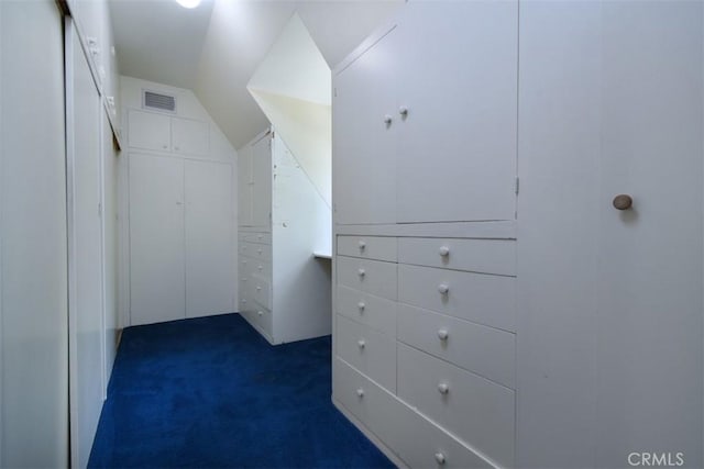 4312 Noble Ave, Sherman Oaks, CA 91403 - spacious closet featuring dark carpet and vaulted ceiling