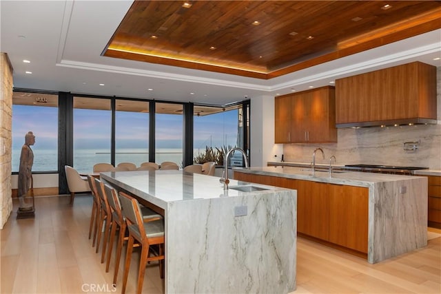 17 Strand Beach Dr, Dana Point, CA 92629 - photo 8