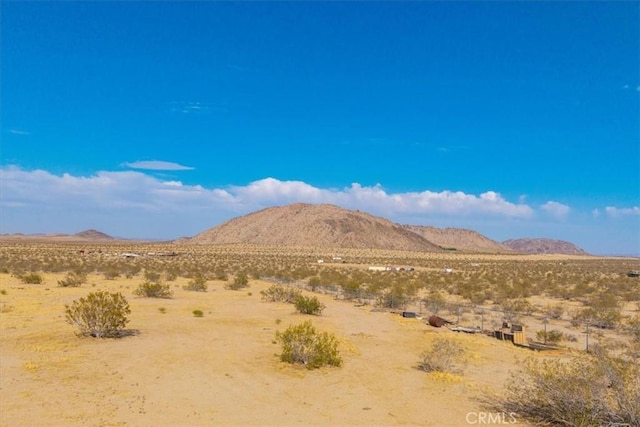 4773 Shawnee Trl, Landers, CA 92285 - photo 66