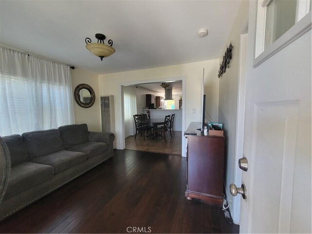 4434 Crocker St, Los Angeles, CA 90011 - living room with dark wood-type flooring and a heating unit