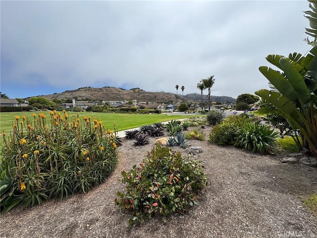210 Encanto Ave, Pismo Beach, CA 93449 - photo 35