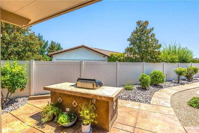 1506 Pierce Ml, Beaumont, CA 92223 - fenced backyard featuring exterior kitchen and a patio