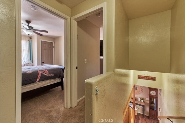 887 Vista Ave, Sugarloaf, CA 92386 - photo 34