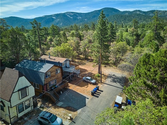 887 Vista Ave, Sugarloaf, CA 92386 - photo 48