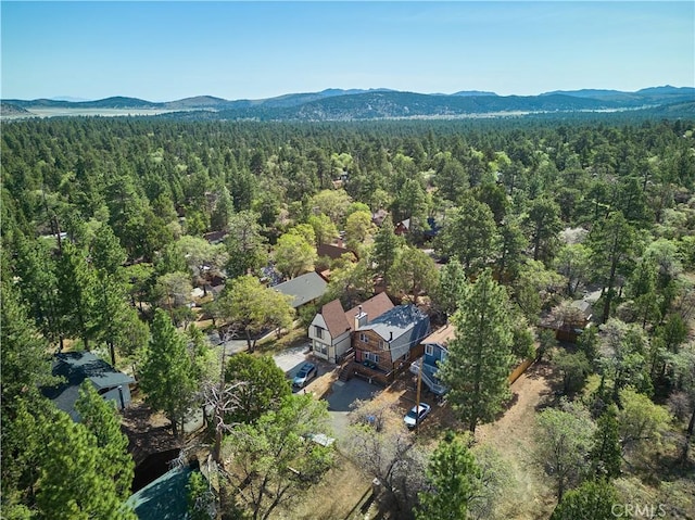887 Vista Ave, Sugarloaf, CA 92386 - photo 7