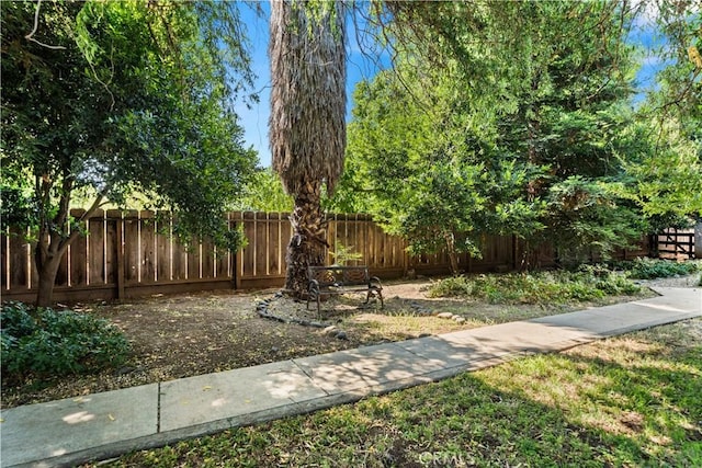 625 La Bonita Ct, Chico, CA 95973 - view of yard