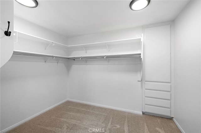609 Calle Reata, San Clemente, CA 92673 - walk in closet with carpet floors