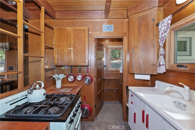 1040 Mile High Rd, Twin Peaks, CA 92391 - photo 12