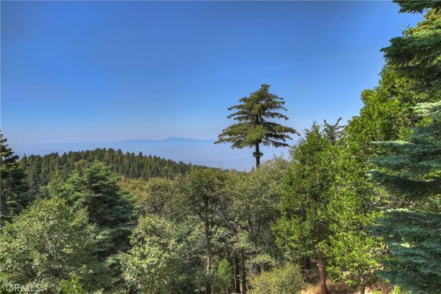 1040 Mile High Rd, Twin Peaks, CA 92391 - photo 27