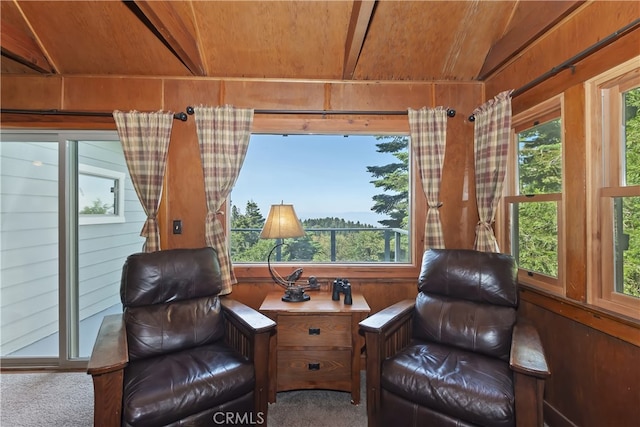 1040 Mile High Rd, Twin Peaks, CA 92391 - photo 9