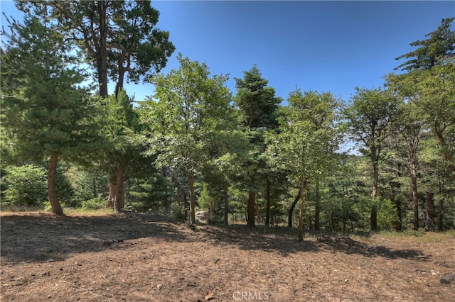 1040 Mile High Rd, Twin Peaks, CA 92391 - photo 40