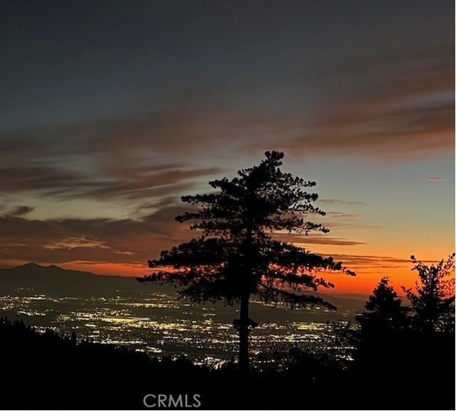 1040 Mile High Rd, Twin Peaks, CA 92391 - photo 45